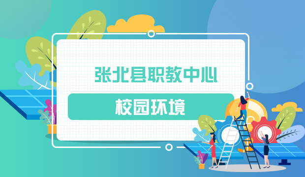 北大青鸟